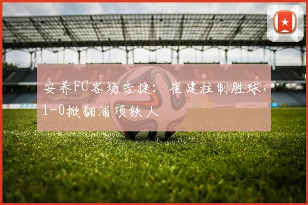 安养FC客场告捷:崔建柱制胜球,1-0掀翻浦项铁人